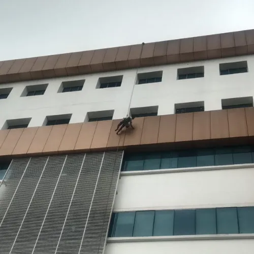 Spider Glass Cleaning